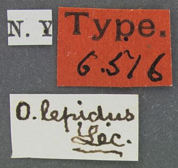 Media type: image;   Entomology 6516 Aspect: labels